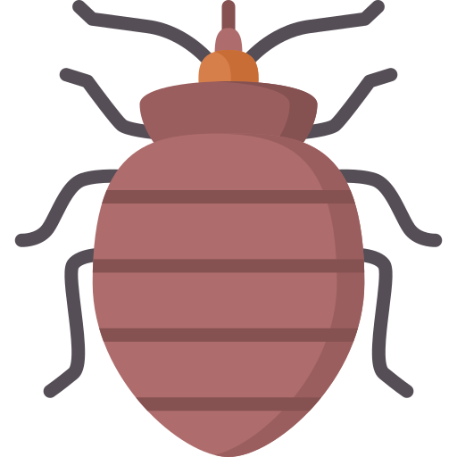 Bed bug exterminator