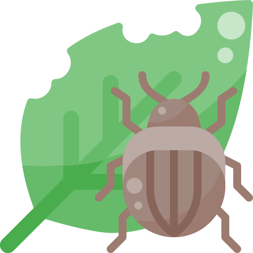 Pest inspection